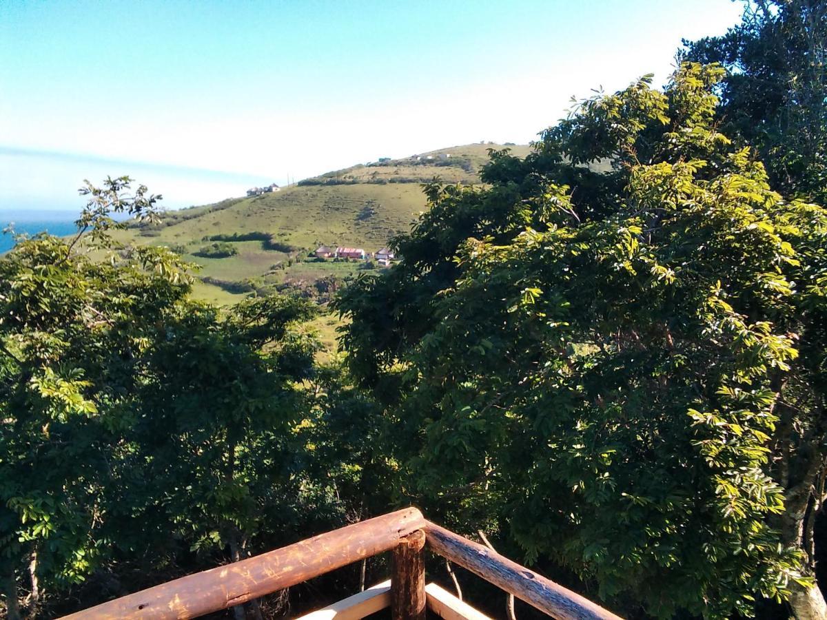 Wildview Self Catering Cottages Coffee Bay, Breakfast & Wi-Fi Inc Екстер'єр фото