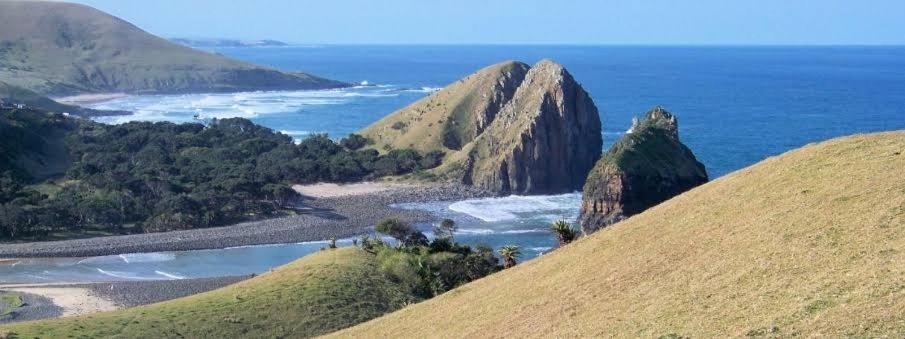 Wildview Self Catering Cottages Coffee Bay, Breakfast & Wi-Fi Inc Екстер'єр фото